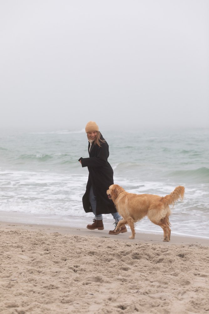 Razas de perro para hacer deporte. Raza de perro Golden