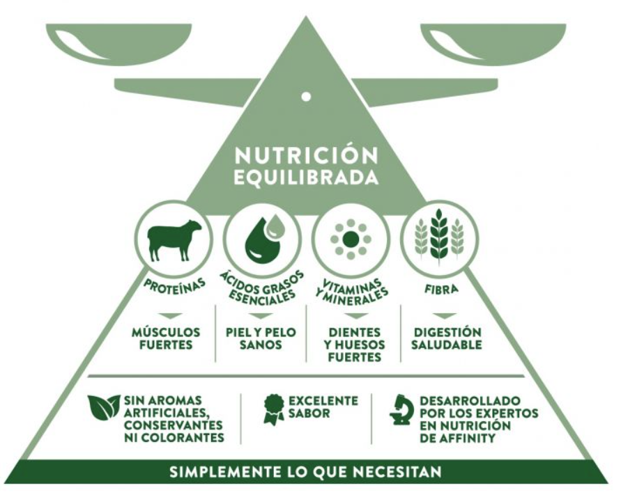 Triangulo de composición pienso libra guía de como elegir el mejor pienso para perro