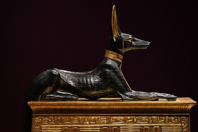 Anubis perro guardian